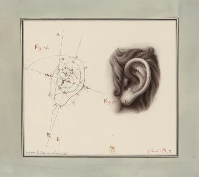 Etude Doreille