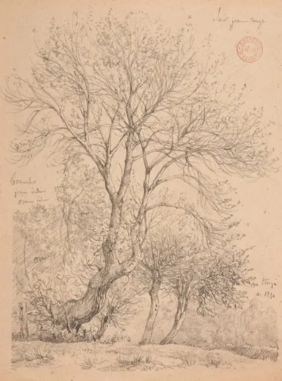 Etude Dormes