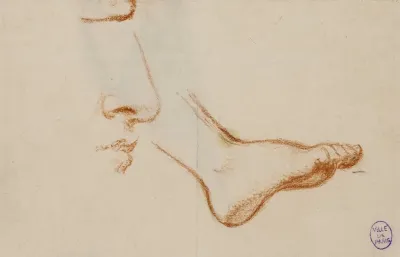 Etude Dun Pied Droit Et Du Profil Dun Nez Et Dune Bouche