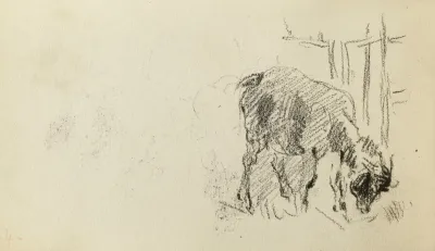 Etude Dune Chevre