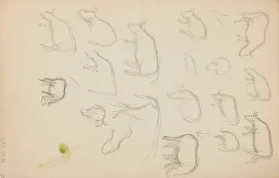 Etudes Danimaux De Paysages Et De Modeles 11