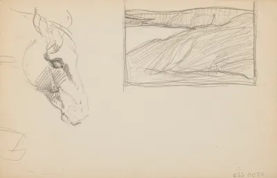 Etudes Danimaux De Paysages Et De Modeles 16