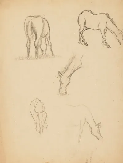 Etudes Danimaux De Paysages Et De Modeles 20