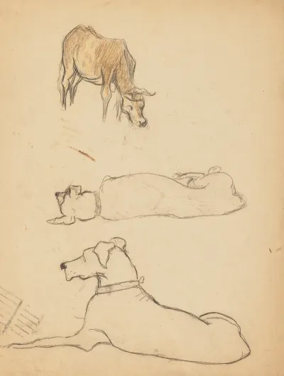 Etudes Danimaux De Paysages Et De Modeles 21