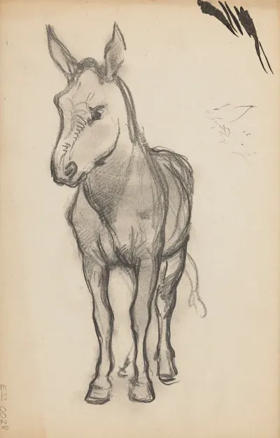 Etudes Danimaux De Paysages Et De Modeles