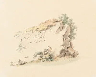 Etudes Dapres Nature Par J L Aberli