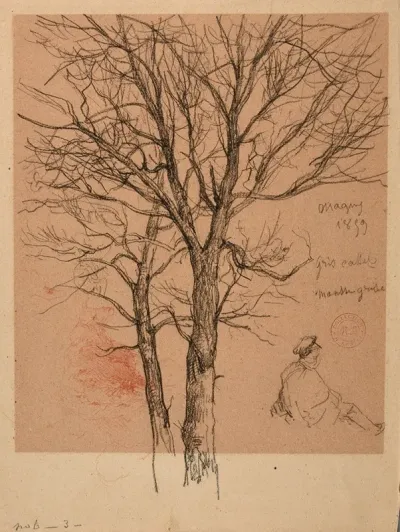 Etudes Darbres De Personnage Et De Mouton