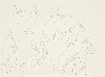 Etudes De Boucs