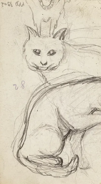 Etudes De Chats