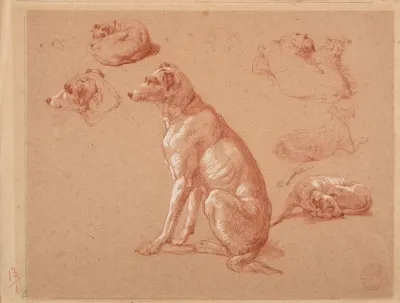 Etudes De Chiens 2