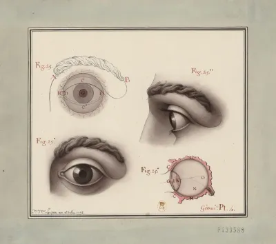 Etudes De Loeil