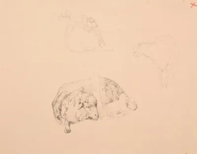 Etudes De Moutons