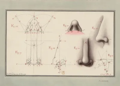 Etudes De Nez