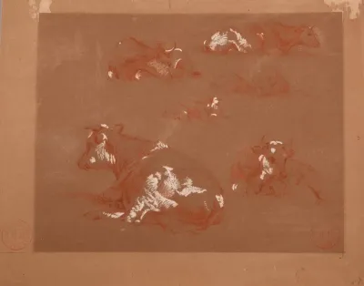 Etudes De Vaches