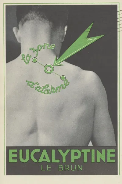 Eucalyptine Le Brun 3
