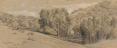 Eucalyptus Groves On The Cooper Ranch Santa Barbara