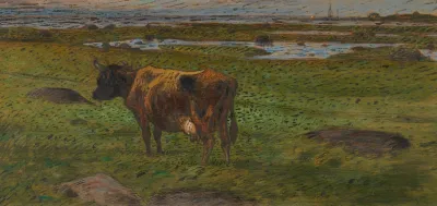 Evening 7