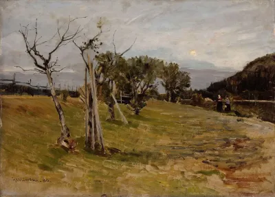 Evening In The Forest