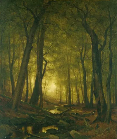 Evening In The Woods