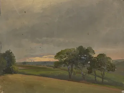 Evening Meadow With Trees