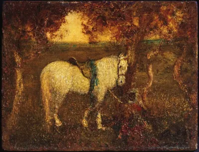 Evening Rest
