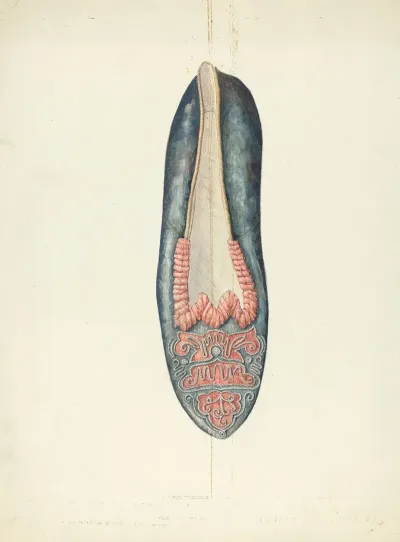 Evening Slipper