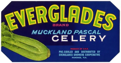 Everglades Brand Muckland Pascal Celery Label 2