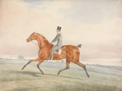 Exercising A Racehorse