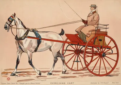 Exercising Cart