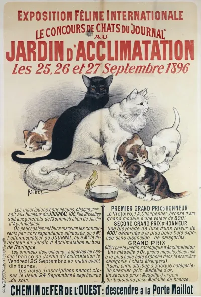 Exposition Feline Internationale Le Concours De Chats Du Journal Au Jardin Dacclimatation