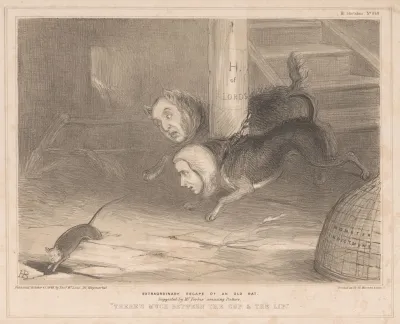 Extraordinary Escape Of An Old Rat Suggested By Mr Forbes Amusing Picture Theres Much Between The Cup The Lip