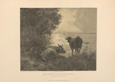 F koller Early morning on the lake of zurich
