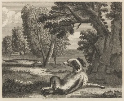 Fable Ii The Spaniel And The Cameleon