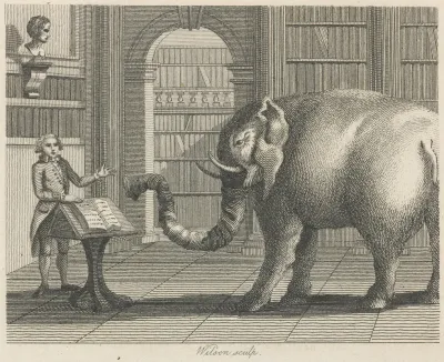 Fable X The Elephant And The Bookseller