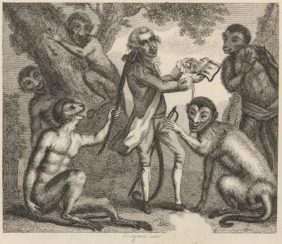Fable Xiv The Monkey Who Had Seen The World