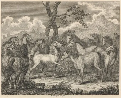 Fable Xliii The Council Of Horses