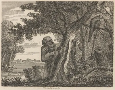 Fable Xv The Philosopher And The Pheasants