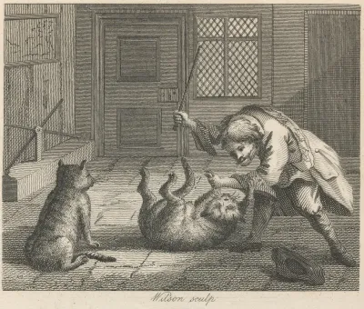 Fable Xxi The Rat Catcher And Cats
