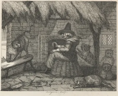 Fable Xxiii The Old Woman And Her Cats