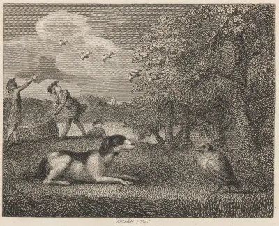 Fable Xxx The Setting Dog And The Partridge