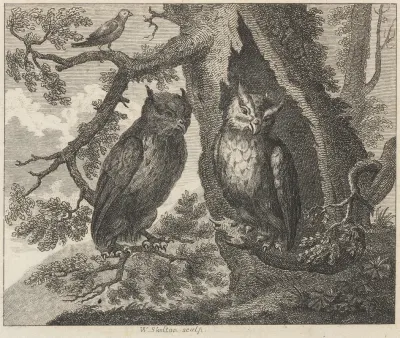 Fable Xxxii The Two Owls And The Sparrow