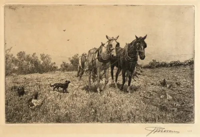 Fall Ploughing