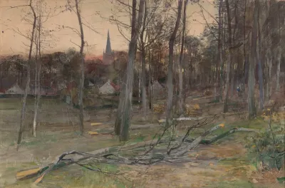 Fallen Trees