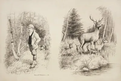 Family Of Deer Stand By A Stream Alert