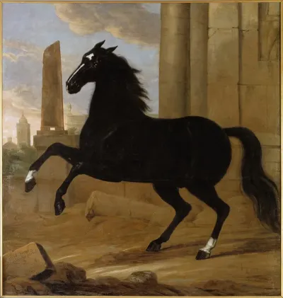 Favourite One Of King Karl Xis Riding Horses
