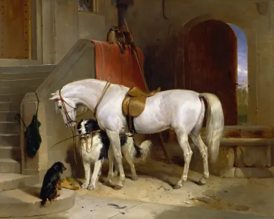 Favourites The Property Of H R H Prince George Of Cambridge