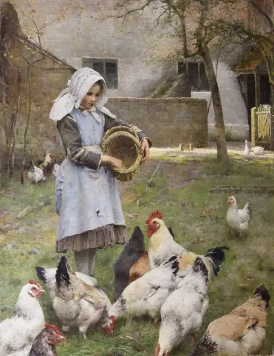 Feeding The Chickens 2