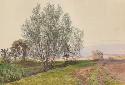 Feld Und Bachrand