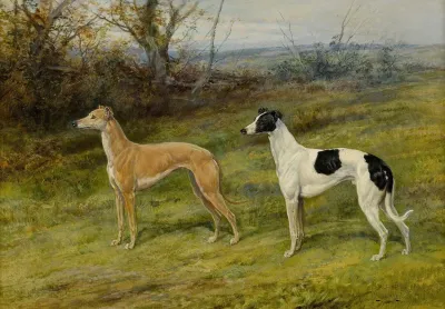 Fellow From Wales And Silvery Sand