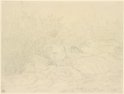 Felsen Im Wald Von Fontainebleau